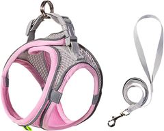 Item thumbnail for item fcd86540-4380-4072-a182-d259c7c790da