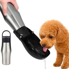 Item thumbnail for item bd7daeb8-dd0c-4d81-8f8c-c52aa3aa812a