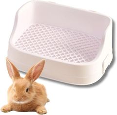 Item thumbnail for item 9b263c75-f2de-4025-87cd-cfd83ee776d5