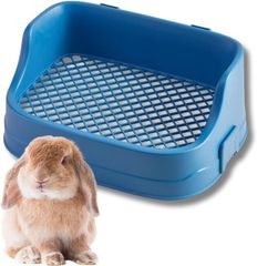 Item thumbnail for item 43cfe3b7-3c61-4912-9a01-7a03aab0c46d