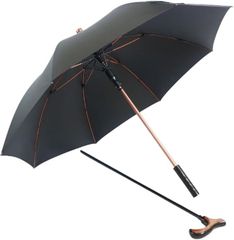 Item thumbnail for item 29f4d991-91c3-463d-96be-7c917ac8b163