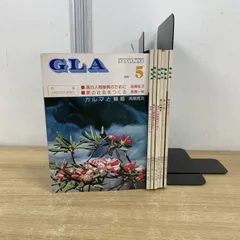 2025年最新】高橋佳子 glaの人気アイテム - メルカリ