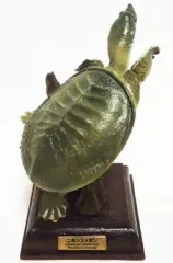 2026年最新】ニホンスッポン ネイチャーテクニカラーの人気アイテム