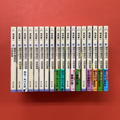 脳科学捜査官 真田夏希シリーズ全24巻セット - メルカリ