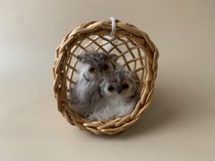 Item thumbnail for item fb77b9ab-e921-49d2-9ab5-fc2bd5868305