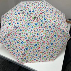 Item thumbnail for item 6eb59392-7131-4df2-9d54-cb3dc8bd5c8b