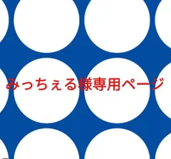 みっちぇる様専用ページです。