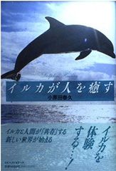 Item thumbnail for item 59eac12c-0d1f-4281-a653-3dff102c095d