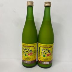 Item thumbnail for item b9b77b2a-4fb5-43fa-b7fa-a69c3a6735af