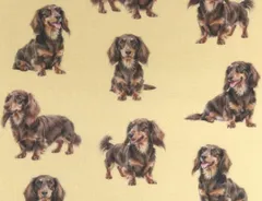 【ゆきちゃん限定】X2568 ダックスフンド チョコタン ベージュ 布 1m