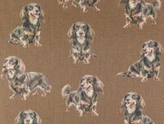 【ゆきちゃん限定】X2570 ダックスフンド チョコタン ブラウン 布 1m