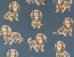 【ゆきちゃん限定】X2573 ダックスフンド チョコタン 紺 生地 1m