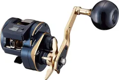 【新品未使用】ダイワ ソルティガ IC 300-DH ソルティガic 300」の人気商品一覧 | 安い商品を通販サイトから探す