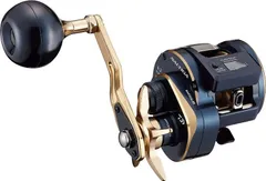 2026年最新】ダイワ ソルティガicの人気アイテム - メルカリ