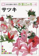 Item thumbnail for item e39f5f55-fe02-4e50-8b99-1bd94c0d77cc