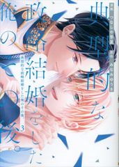 アルファポリス アンダルシュCOMICS つなしや季夏 典型的な政略結婚をした俺のその後。 3