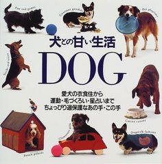 Item thumbnail for item 501271e8-3efc-4d2e-b5f7-f165c5762a87