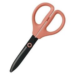 Item thumbnail for item cf8c83b0-ff27-4053-9b3c-28c888e7afb9