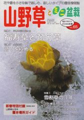 Item thumbnail for item c8358017-76a9-4645-a0bc-f56e0d71bf5f