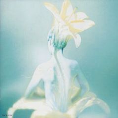 Item thumbnail for item 4ab37e2e-fbb0-4188-b4ad-189d62ca059d