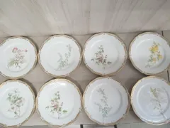 Noritake ノリタケ ガラ コンテッサ プレート8枚セット お皿 花柄 