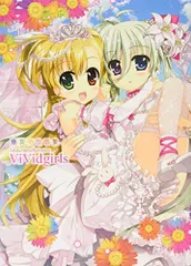 藤真拓哉画集 ViVidgirls (イラスト・画集)