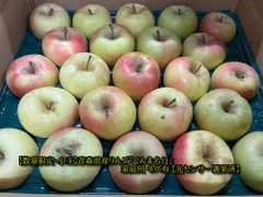 【タイムセール！小玉のみ】青森県産りんご「ぐんま名月」家庭用 キズ有 約5kg 【光センサー選果】