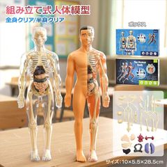 ⑤ Yujin 人体解剖図鑑 完全版含む 3種セット - メルカリ