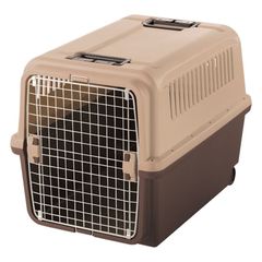 Item thumbnail for item 0a3e9b11-3c71-4c3d-b8d4-6686ddd0fe92