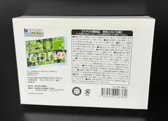 HUNTER×HUNTER アクリルブロック HEROES ゴン　ハンターハンター