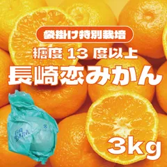 【糖度13度保証！限定10CS！長崎県産恋みかん（袋掛け）　3㎏　化粧箱入り】　豊洲市場　高糖度みかん　売り切れ御免