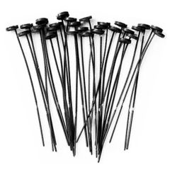 Item thumbnail for item 934436ad-b1ab-4031-a85c-765b2d12d69f