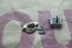 フィギュア/人気 Dragon Diffusion ドラゴンディフュージョン クエスト メタル MONSTER - ハグレメタル