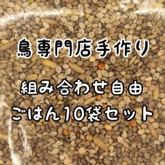 Item thumbnail for item 5f344fd7-fe15-4275-b902-f04608cacf8d