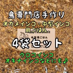 Item thumbnail for item 43621b98-6b26-45bd-b7fc-4f56f4df4c27