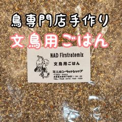 Item thumbnail for item 67f46dfa-7e67-4bab-ae8e-60d57081f9bb