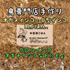 Item thumbnail for item 03edd618-417c-4380-ae7b-f244f0f49896