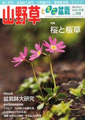 Item thumbnail for item bda82069-7dd7-4830-be05-1b7c0daacd0e