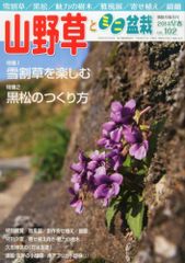 Item thumbnail for item a783962d-5793-4d4b-b991-00d6fbed5ed9