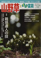 Item thumbnail for item a0607cf4-6d74-4c17-be79-8ee584d529eb