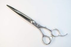 Item thumbnail for item ecdf31f6-cba8-4649-b0a7-92ae3132e87a