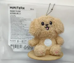 SEVENTEEN MINITEEN DK MAGNET PLUSH KEYRING