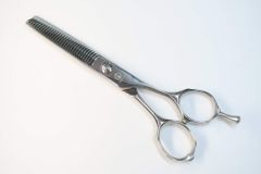 Item thumbnail for item 62c1ffbf-9ef3-422d-bc75-50a11daab72a