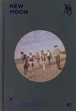 Item thumbnail for item 73018345-fc8e-4f49-8386-056735da9ae3