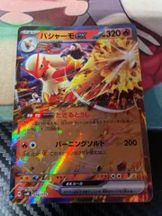 バシャーモex たぎるとうし