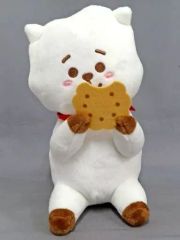 [중고] 봉제인형 RJ(진) 봉제인형 [이치반 복권 BT21 SWEET MAGIC] B상