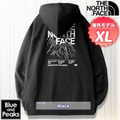 ノースフェイス パーカー US限定 グラフィック 男女兼用(L)黒 181130