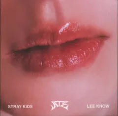 StrayKids Accordion ver. LeeKnow ATE
