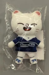 StrayKids 2024 JYP POP UP Hyunjin バッグチャーム SKZOO