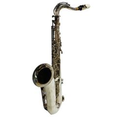 Item thumbnail for item 7f073561-23fd-431d-aabb-c7284562668b